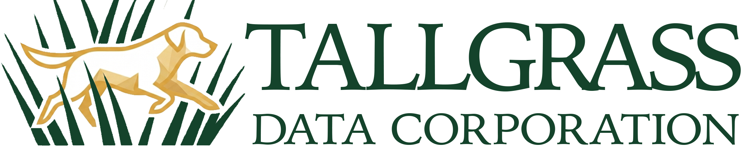 Tallgrass Data Corporation