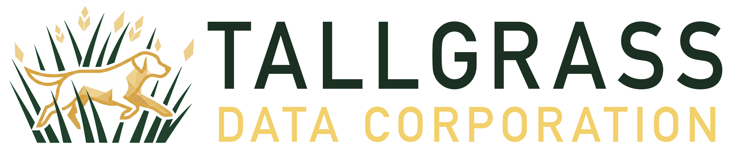 Tallgrass Data Corporation